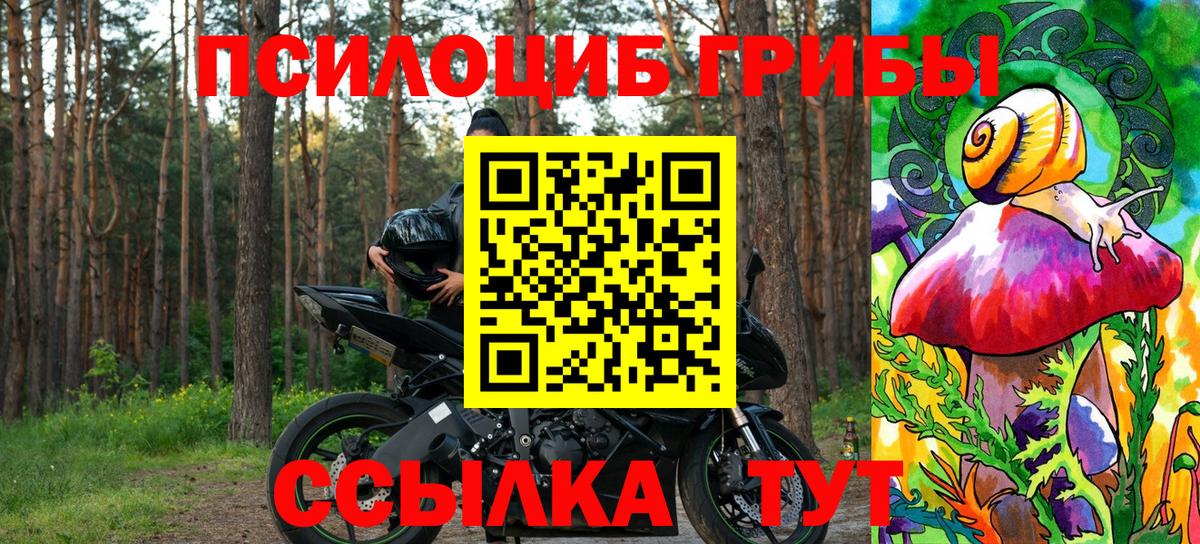 Галлюциногенные грибы Psilocybine cubensis Красноармейск